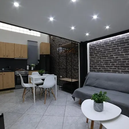 Loft Apartment 1-2